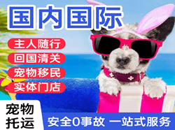 阿荣航空货运国际宠物托运 【国